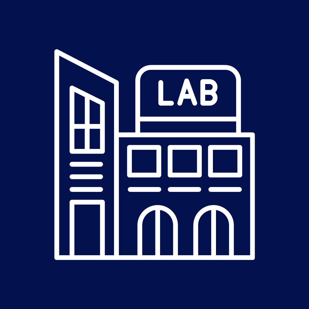 LAB ICON2